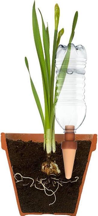 Image du produit Blumat Facile (Cône d'argile)