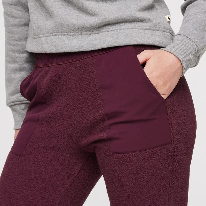 Actual product image Cotopaxi Abrazo Fleece Jogger (L)