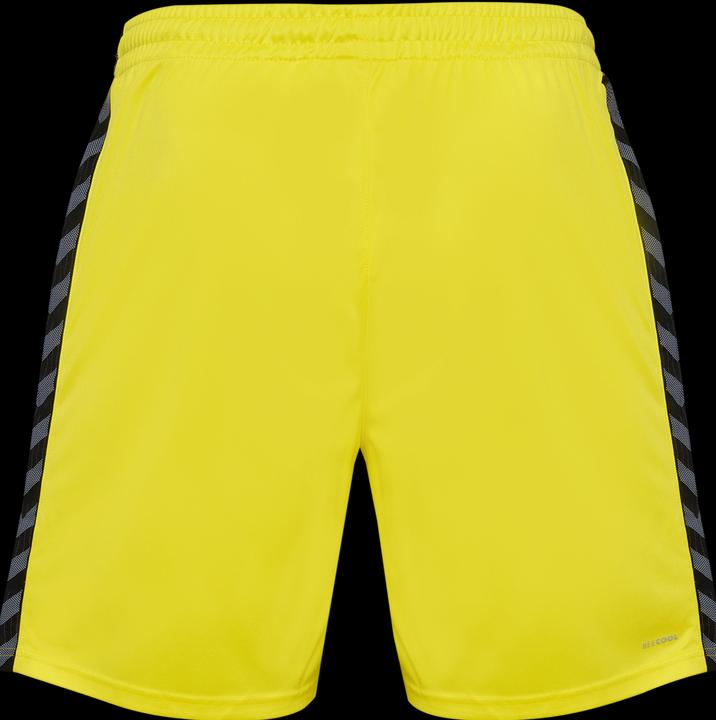 Image du produit hummel Hmlauthentic Pl Shorts (3XL)
