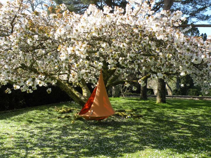 Actual product image Cacoon Single (200 kg)