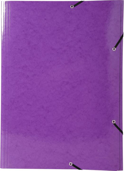 Actual product image Exacompta Folder (A3, 1x)