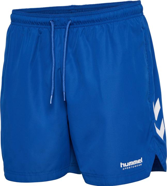 Image du produit hummel hmlLGC NED SWIM SHORTS (M)