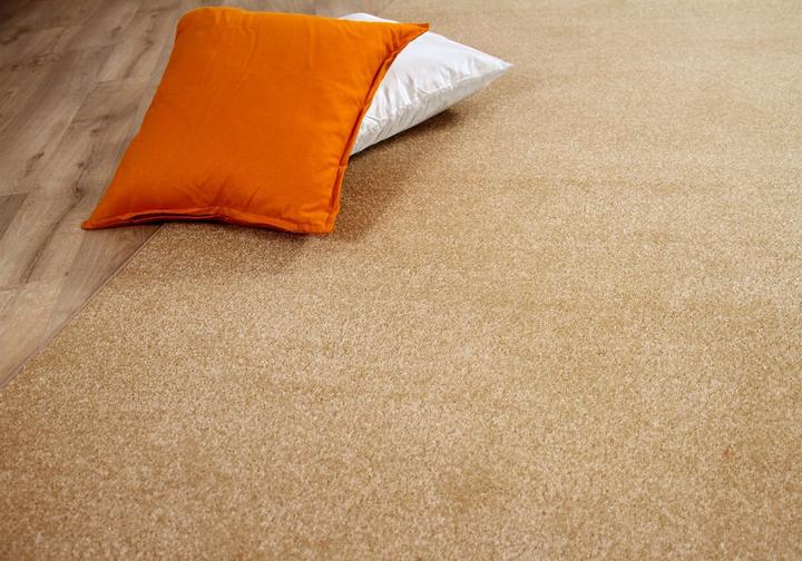 Produktbild Snapstyle Trend Velours Teppich Joy (160 x 240 cm)