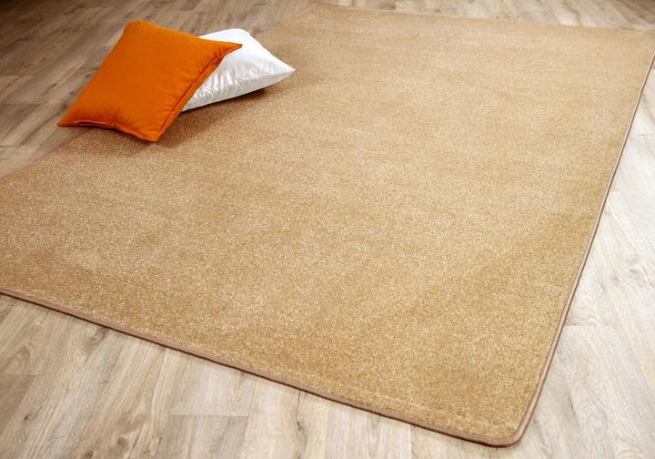 Produktbild Snapstyle Trend Velours Teppich Joy (160 x 240 cm)