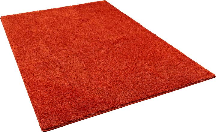 Snapstyle Hochflor Shaggy Teppich Palace (100 x 300 cm)