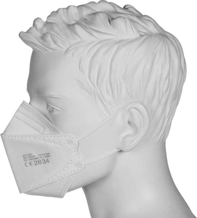 Image du produit Bolisi FFP2 (FFP2, 10 x)