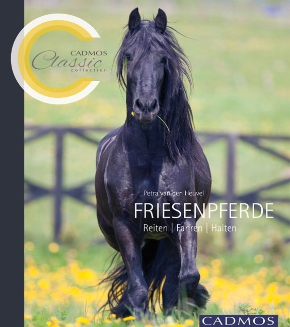 Produktbild van den Heuvel:Friesenpferde (Deutsch, Petra van den Heuvel, 2016)