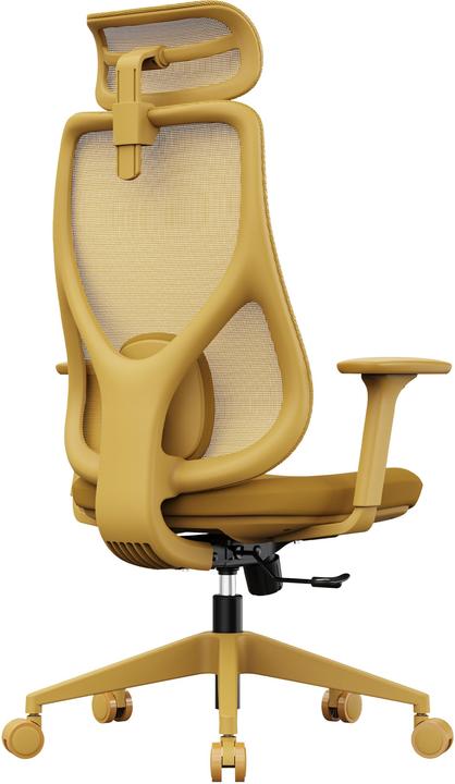 Actual product image Sense7 Moyo