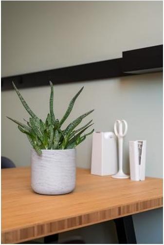 Actual product image Pottery Pots Charlie XXS