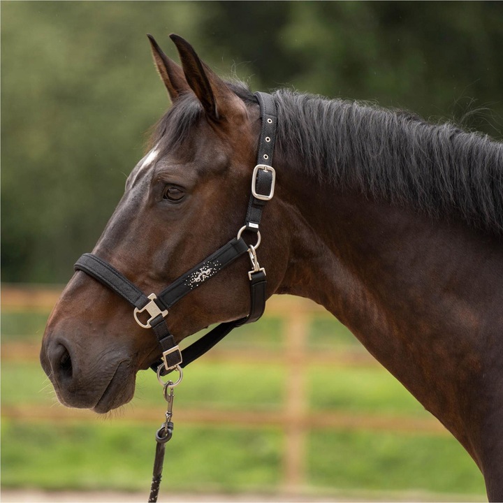 Actual product image HV Polo Halter HVPSkye