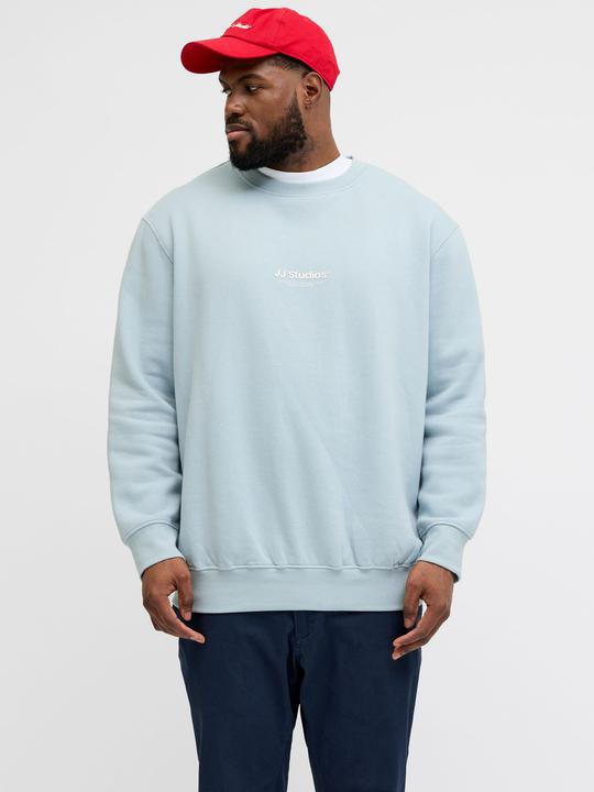 Produktbild Jack & Jones Jjesoho Sweat Crew Neck Noos Pls (4XL)