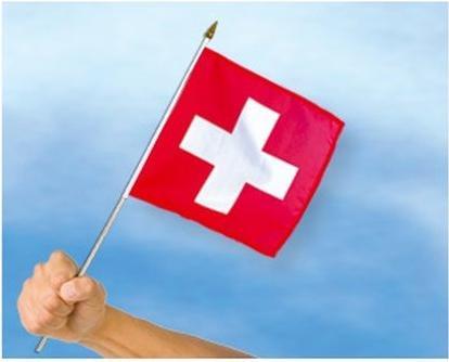 Actual product image Cross Promotion Stick flag Switzerland