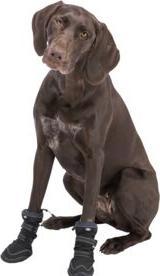 Produktbild Trixie Walker Active Long protective boots, M, 2 pcs., black (M, Hundeschuhe)