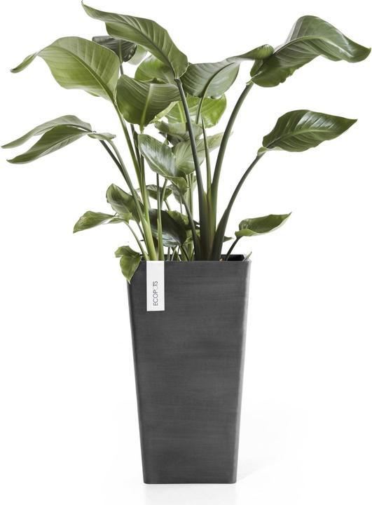 Produktbild Ecopots Rotterdam halbhoch (31 cm)