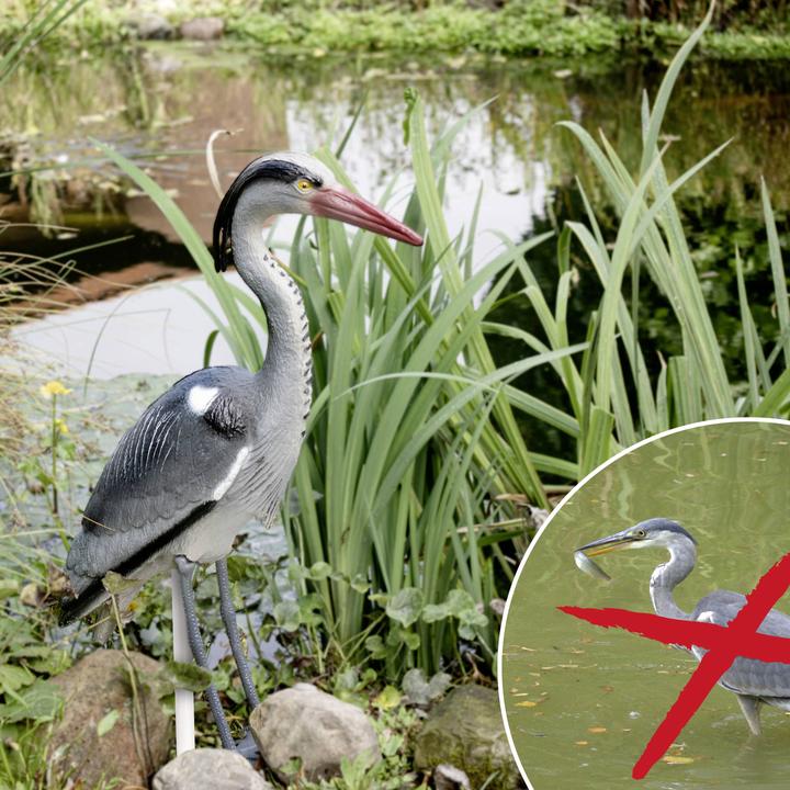 Produktbild Gardigo Vogelvertreiber Funktionsart Abschreckung 1 St.