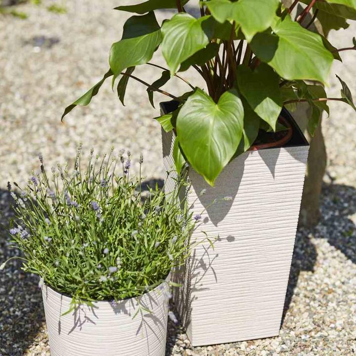 Immagine prodotto Siena Garden Fioriera ECO Lens bianca Ø 25x25,5 cm