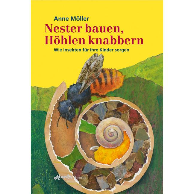 Nester bauen, Höhlen knabbern, Kinderbücher von Anne Möller