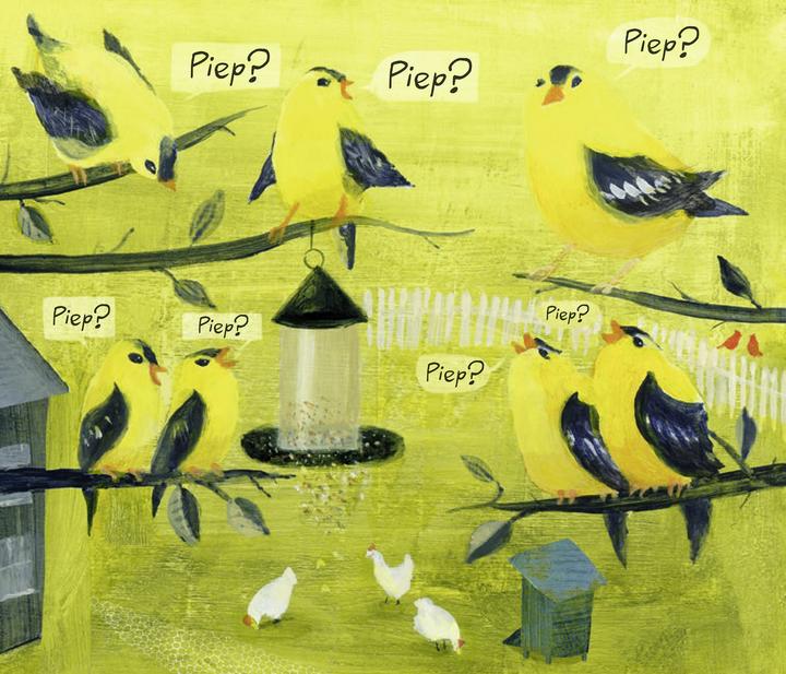Immagine prodotto Das Vogelkonzert (Tedesco, Jonah Winter, Ruth Keen, Stacy Innerst, 2025)