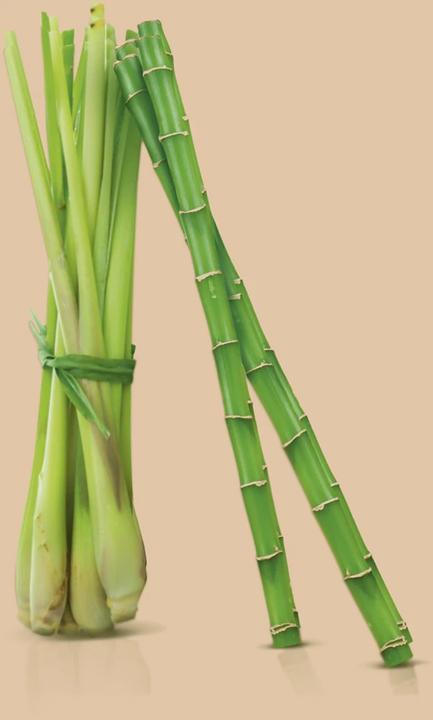 Actual product image Londa Impressive Volume Shampoo (Liquid shampoo, 1000 ml)