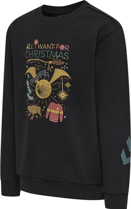 Produktbild hummel Hmlharry Potter Dos Sweatshirt (140)