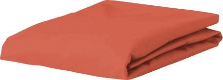 Actual product image Esprit Uni Jersey (200 x 200 cm)