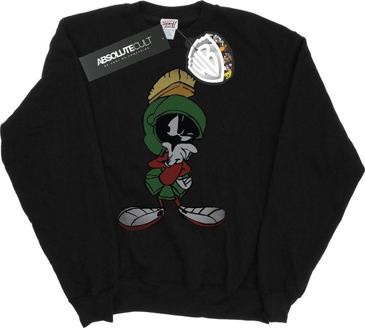 Produktbild Looney Tunes Sweatshirt (L)