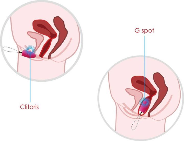 Produktbild Svakom Elva Vibrating Egg