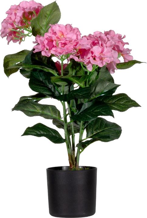 Paperflow meet powered by HORTENSIE Kunstpflanze 55,0 cm (55 cm)