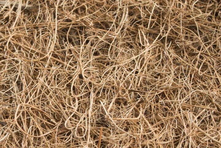Produktbild Windhager Mulchscheibe Cocodisc