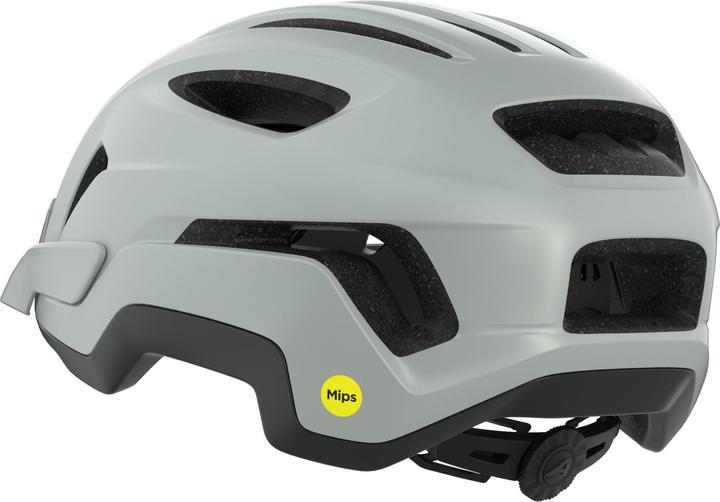 Produktbild ALPINA SPORTS Paranus Mips (52 - 56 cm)