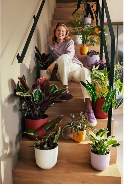 Actual product image Elho Jazz (26 x 24 cm)