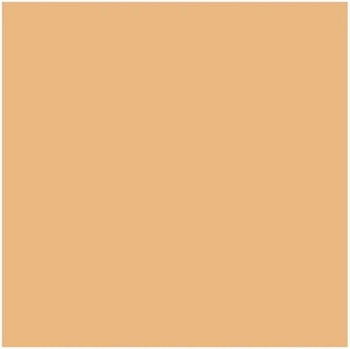 Image du produit MAC Cosmetics Correcteur Studio Finish SPF 35 (NC25)