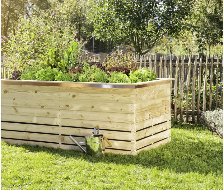 Image du produit Windhager Bande anti-limaces