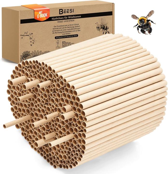 Beesi Nisthülsen (Wild bees)