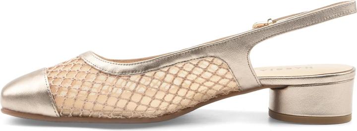 Immagine prodotto Hassia Roma H (41)