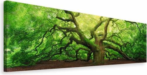 Produktbild Reinders Old Oak (40 x 118 cm)