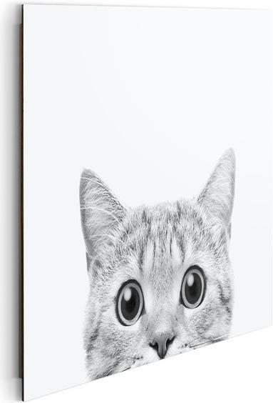 Produktbild Reinders Cat is watching (40 x 50 cm)