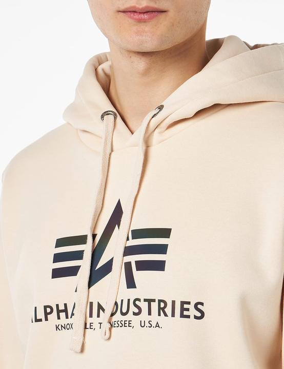 Actual product image Alpha Industries Basic Hoody Rainbow Print (XXL)