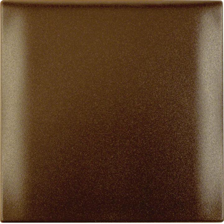 Actual product image Berker Frame