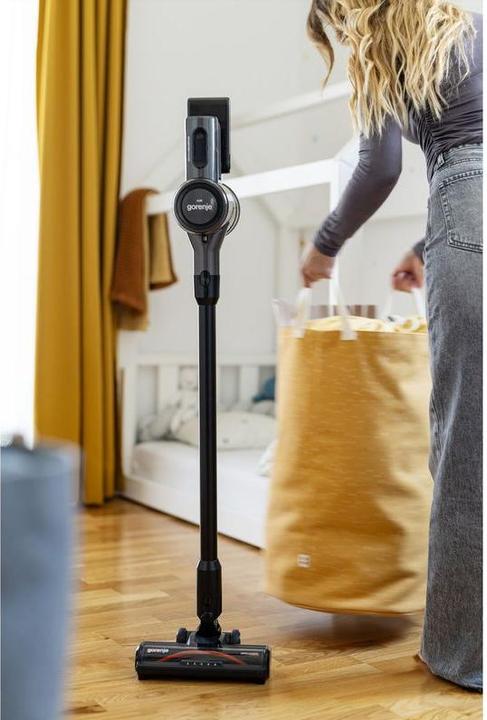 Actual product image Gorenje Akkusauger SVC222480AA