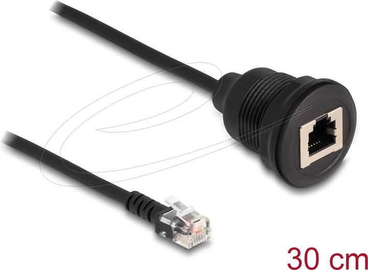Image du produit Delock Câble RJ12 mâle vers RJ12 femelle à encastrer 30 cm sc