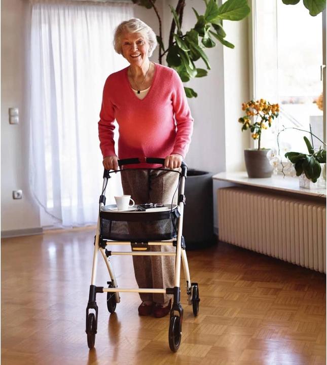 Actual product image Ridder Wohnraum-Rollator