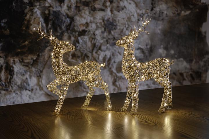 Image du produit STT Gold reindeer, 30