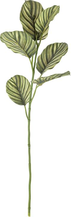 Immagine prodotto Bloomingville Zebra (79 cm)