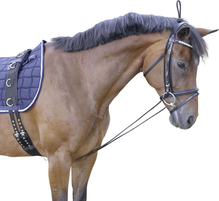 Actual product image Kerbl Neck extender