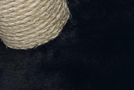 Produktbild Beeztees Katzenmöbel (60 cm, Schwarz)