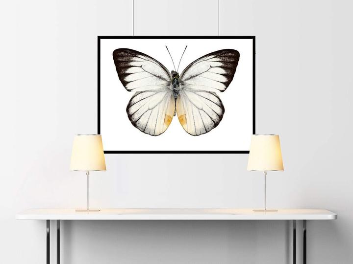 Produktbild Piko Flexgleis (Spur H0)