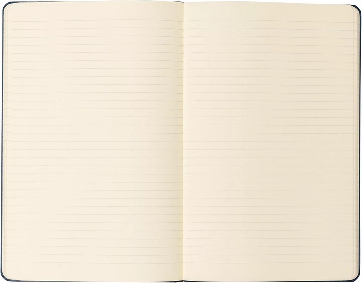 Actual product image Moleskine notebooks (A5)