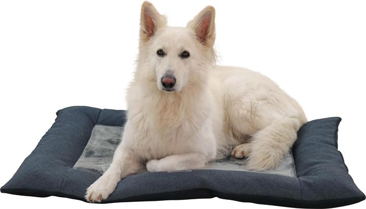 Produktbild Kerbl Liegekissen Platin Ortho (Hund)