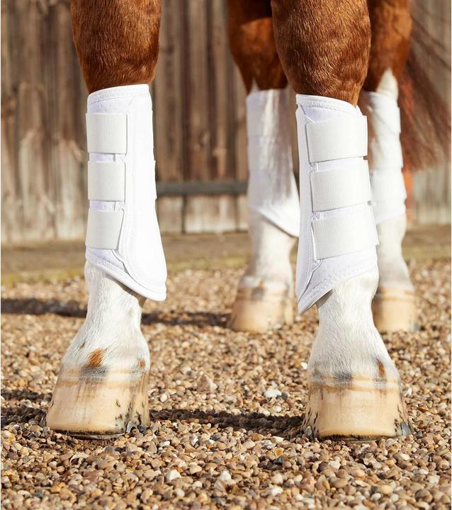 Produktbild Premier Equine Carbon Airtech Arbeitsgamaschen (L)